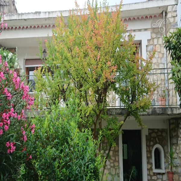 Offres de vente Maison Avignon 84000